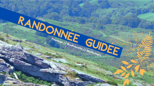 RANDONEE ANIMEE : à la découverte de la biodiversité basque dans son milieu