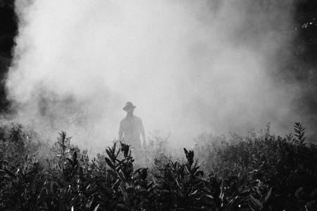 Pollution extérieure, pollution intérieure : de quoi faut-il se décontaminer ?