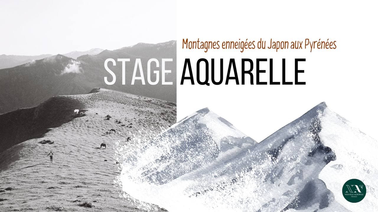 STAGE AQUARELLE : Montagnes enneigées du Japon aux Pyrénées